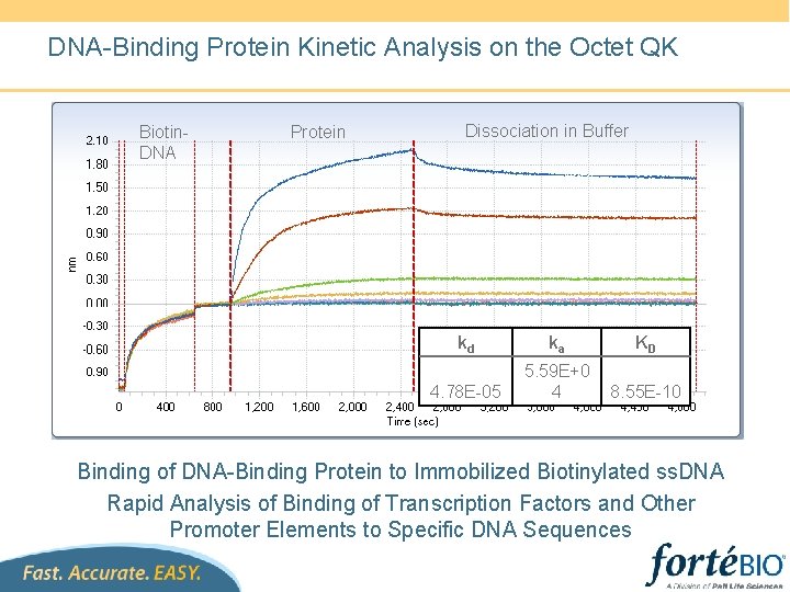 DNA-Binding Protein Kinetic Analysis on the Octet QK Biotin. DNA Protein Dissociation in Buffer