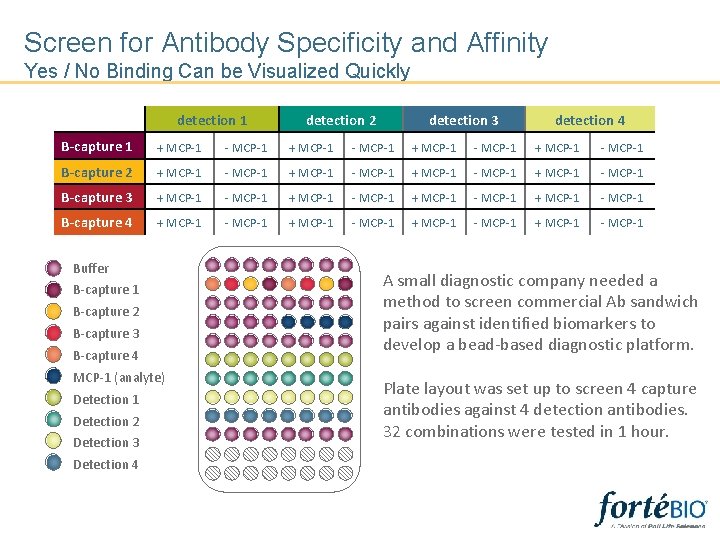 Screen for Antibody Specificity and Affinity Yes / No Binding Can be Visualized Quickly