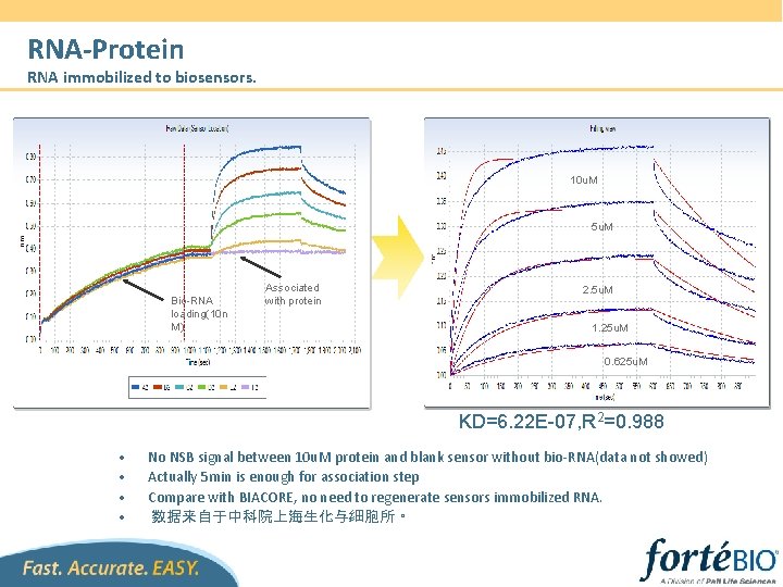 RNA-Protein RNA immobilized to biosensors. 10 u. M 5 u. M Bio-RNA loading(10 n