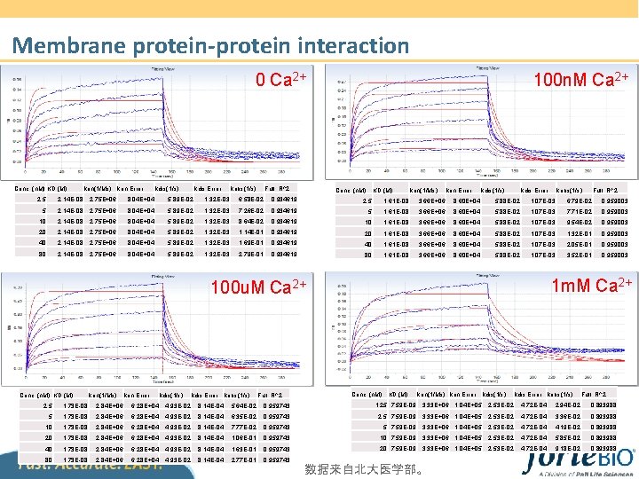 Membrane protein-protein interaction 0 Ca 2+ Conc. (n. M) KD (M) kon(1/Ms) kon Error