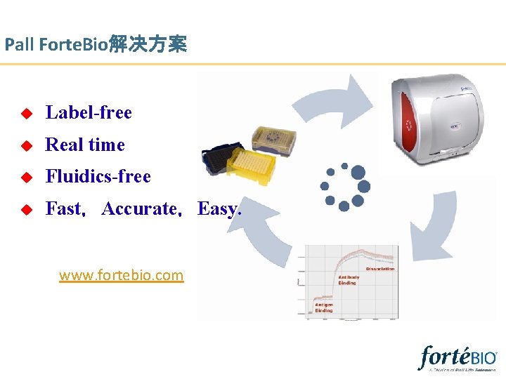 Pall Forte. Bio解决方案 u Label-free u Real time u Fluidics-free u Fast，Accurate，Easy. www. fortebio.