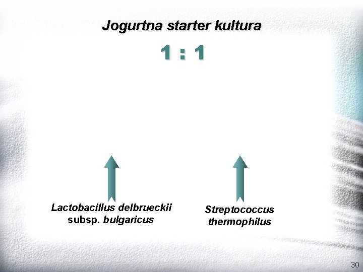 Jogurtna starter kultura 1: 1 Lactobacillus delbrueckii subsp. bulgaricus Streptococcus thermophilus 30 