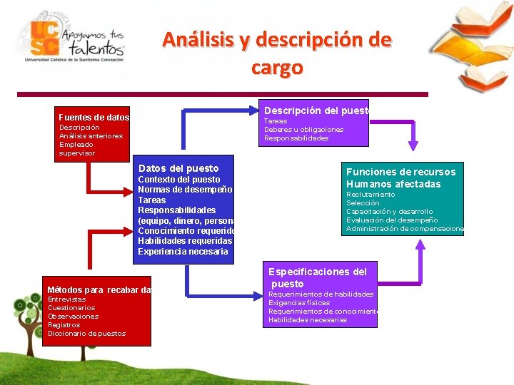 Análisis y descripción de cargo Descripción del puesto Fuentes de datos Tareas Deberes u