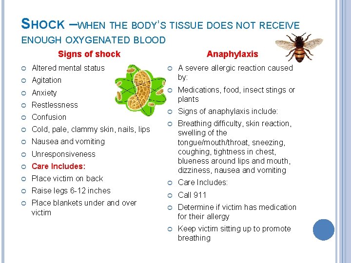 SHOCK –WHEN THE BODY’S TISSUE DOES NOT RECEIVE ENOUGH OXYGENATED BLOOD Signs of shock