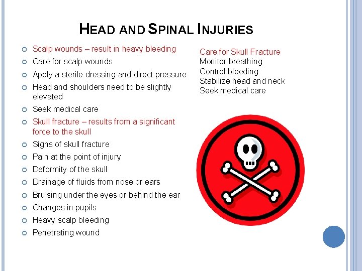 HEAD AND SPINAL INJURIES Scalp wounds – result in heavy bleeding Care for scalp