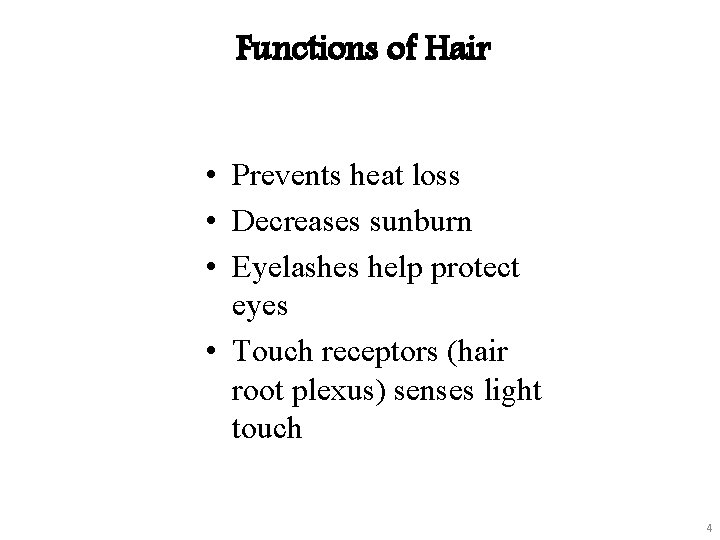 Functions of Hair • Prevents heat loss • Decreases sunburn • Eyelashes help protect