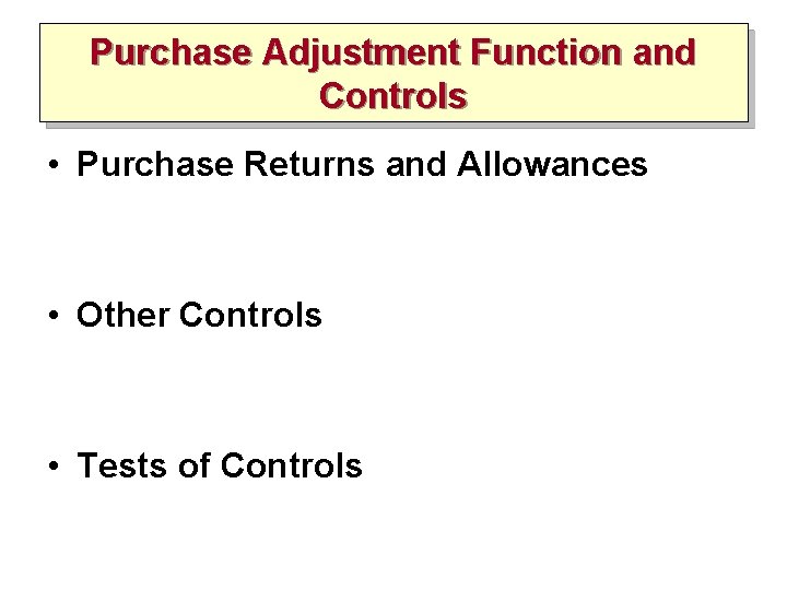 Purchase Adjustment Function and Controls • Purchase Returns and Allowances • Other Controls •