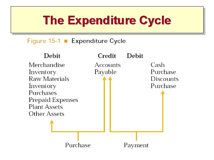 The Expenditure Cycle 