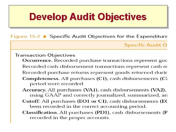 Develop Audit Objectives 