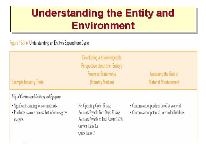 Understanding the Entity and Environment 