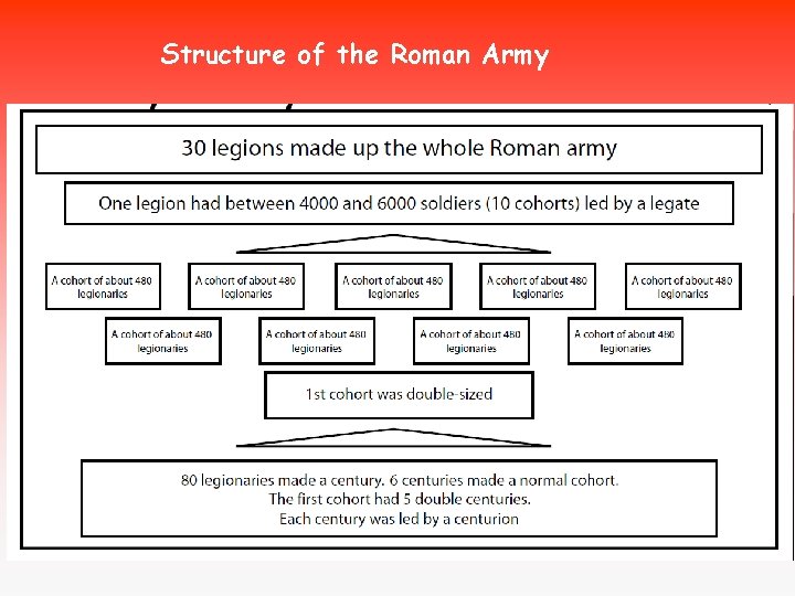 Structure of the Roman Army Structure of the Roman Army