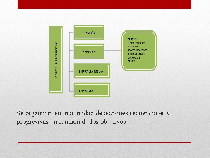 Se organizan en una unidad de acciones secuenciales y progresivas en función de los