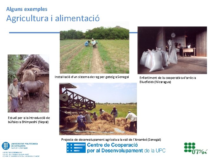 Alguns exemples Agricultura i alimentació Instal·lació d’un sistema de reg per goteig a Senegal