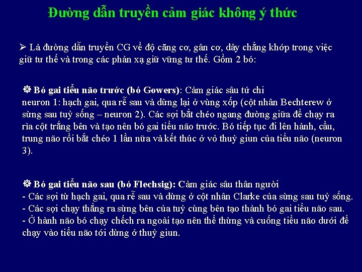 Đường dẫn truyền cảm giác không ý thức Là đường dẫn truyền CG về