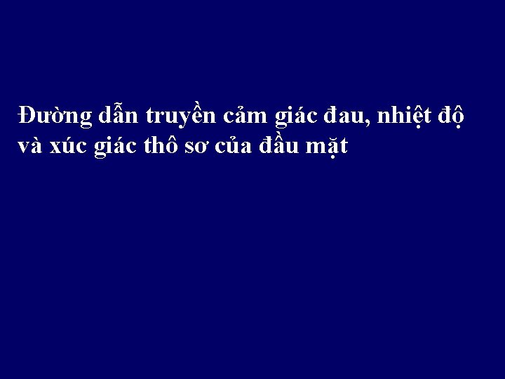 Đường dẫn truyền cảm giác đau, nhiệt độ và xúc giác thô sơ của