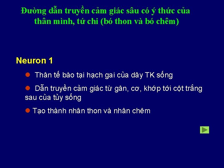 Đường dẫn truyền cảm giác sâu có ý thức của thân mình, tứ chi