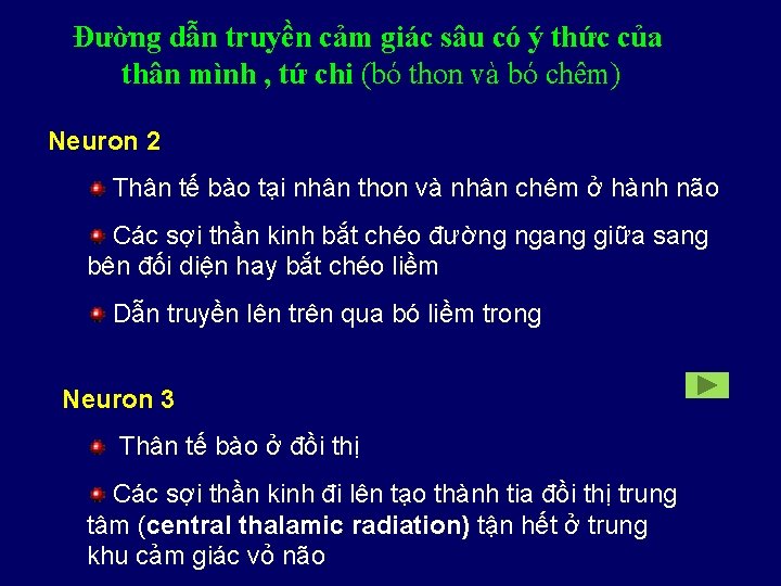 Đường dẫn truyền cảm giác sâu có ý thức của thân mình , tứ