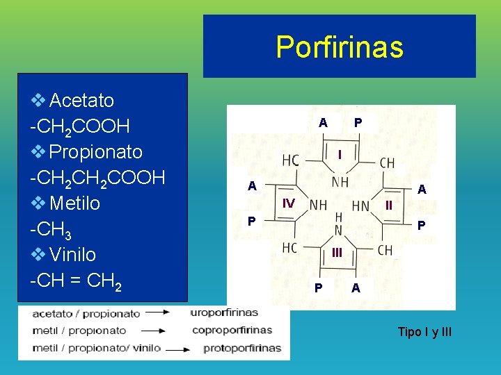Porfirinas v Acetato -CH 2 COOH v Propionato -CH 2 COOH v Metilo -CH