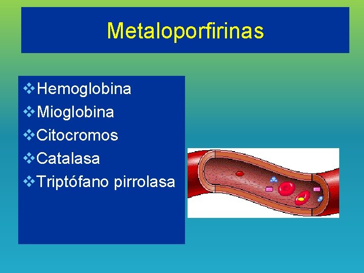 Metaloporfirinas v. Hemoglobina v. Mioglobina v. Citocromos v. Catalasa v. Triptófano pirrolasa 