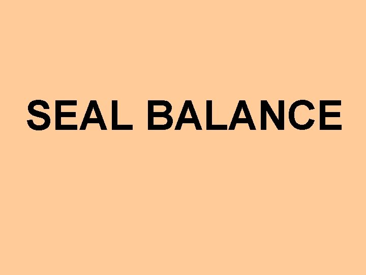 SEAL BALANCE 