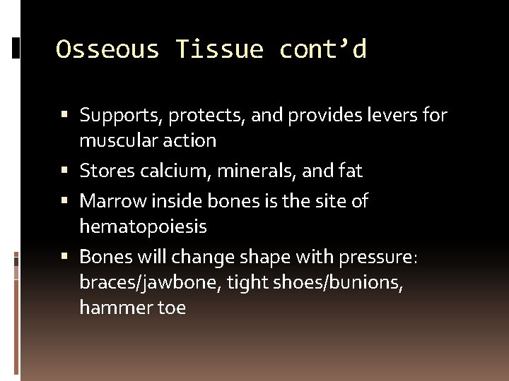 Osseous Tissue cont’d Supports, protects, and provides levers for muscular action Stores calcium, minerals,