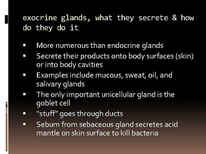 exocrine glands, what they secrete & how do they do it More numerous than