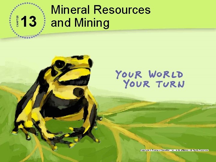 CHAPTER 13 Mineral Resources and Mining 