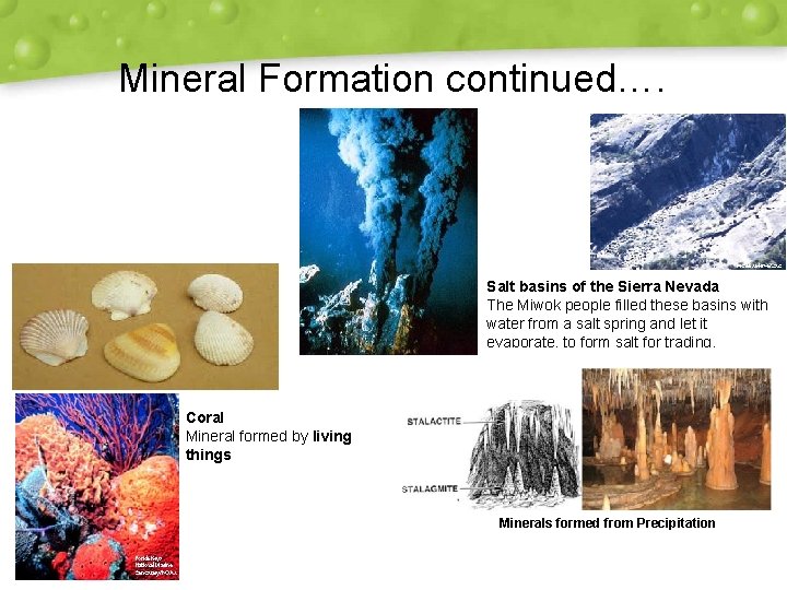 Mineral Formation continued…. Salt basins of the Sierra Nevada The Miwok people filled these