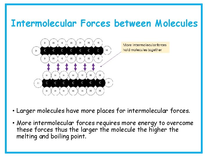 Intermolecular Forces between Molecules • Larger molecules have more places for intermolecular forces. •