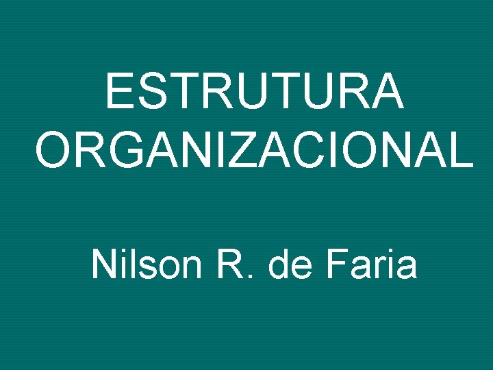 ESTRUTURA ORGANIZACIONAL Nilson R. de Faria 