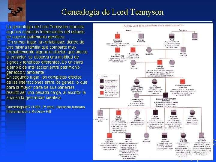 Genealogía de Lord Tennyson La genealogía de Lord Tennyson muestra algunos aspectos interesantes del
