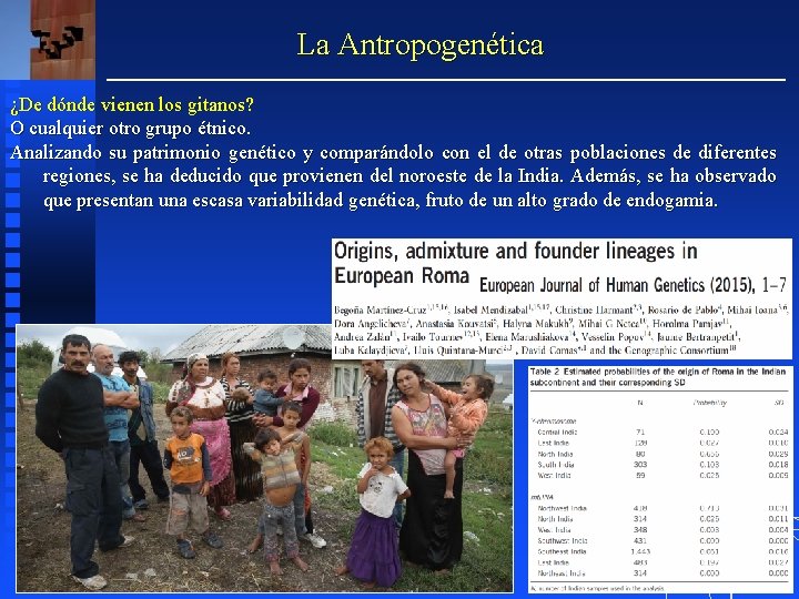 La Antropogenética ¿De dónde vienen los gitanos? O cualquier otro grupo étnico. Analizando su