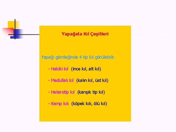 Yapai Verm Yapa N Koyunlarn Bedenini Rten Kl