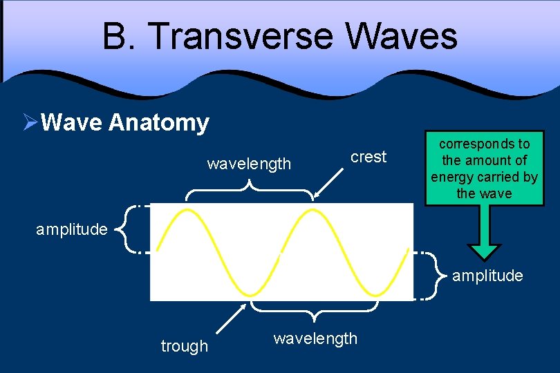 B. Transverse Waves ØWave Anatomy wavelength crest corresponds to the amount of energy carried