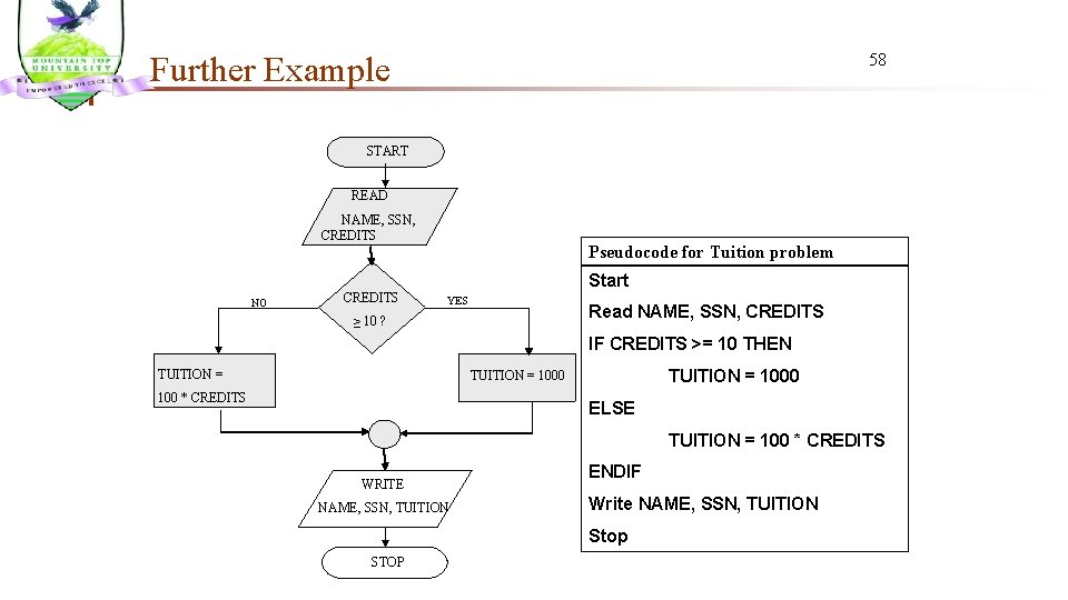 Further Example 58 START READ NAME, SSN, CREDITS NO CREDITS Pseudocode for Tuition problem