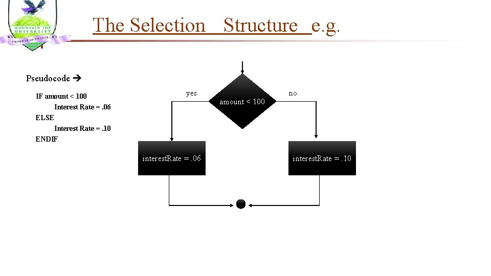 The Selection Structure e. g. Pseudocode IF amount < 100 Interest Rate =. 06