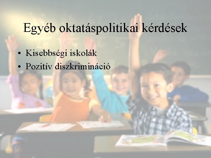 Egyéb oktatáspolitikai kérdések • Kisebbségi iskolák • Pozitív diszkrimináció 