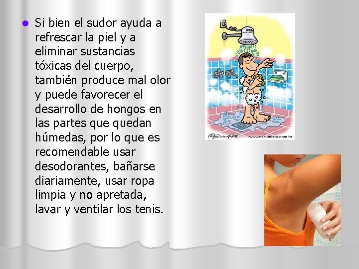 l Si bien el sudor ayuda a refrescar la piel y a eliminar sustancias