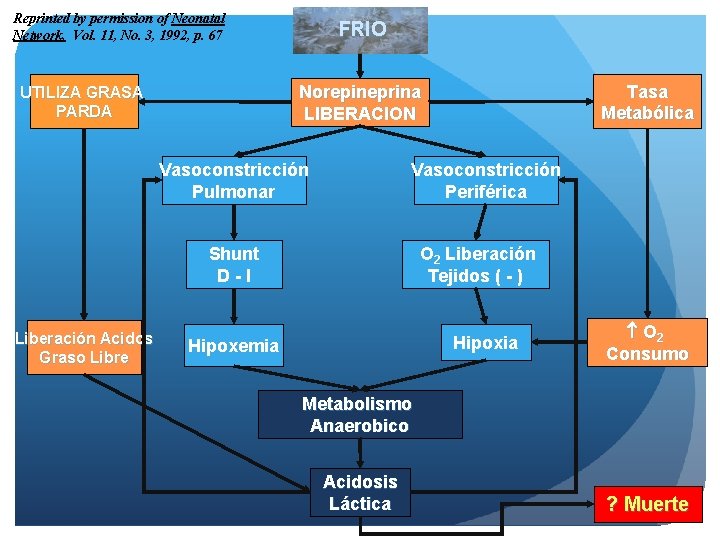 Reprinted by permission of Neonatal Network, Vol. 11, No. 3, 1992, p. 67 FRIO