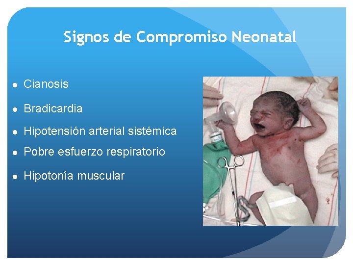 Signos de Compromiso Neonatal l Cianosis l Bradicardia l Hipotensión arterial sistémica l Pobre