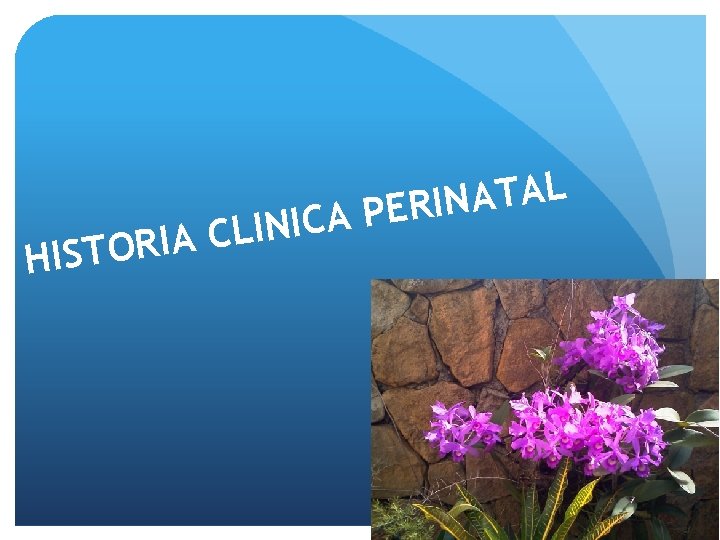 I N I L C A I R O T HIS L A T