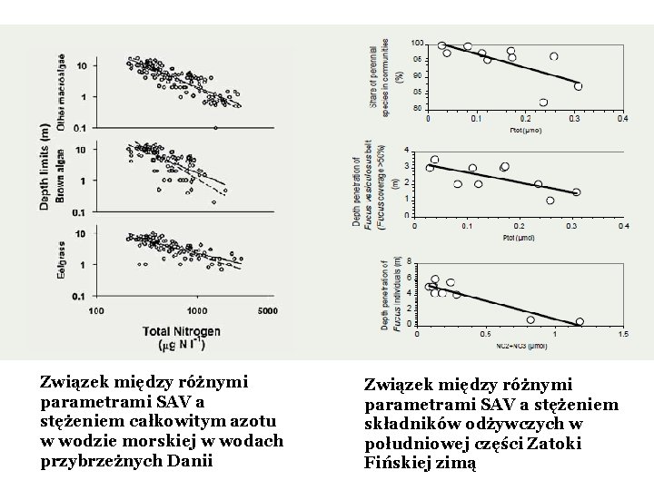 Związek między różnymi parametrami SAV a stężeniem całkowitym azotu w wodzie morskiej w wodach