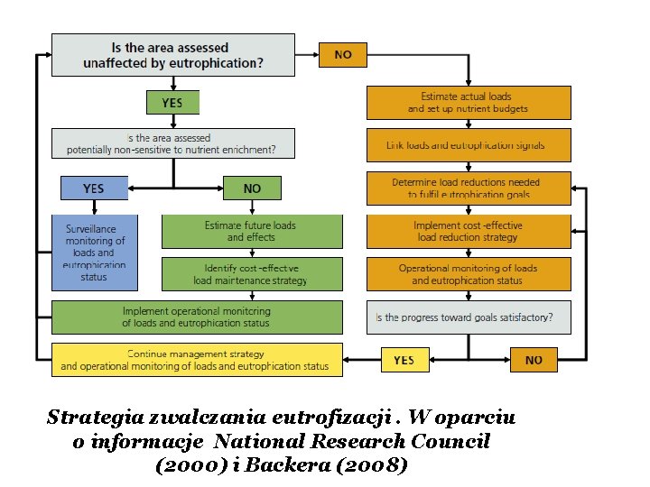 Strategia zwalczania eutrofizacji. W oparciu o informacje National Research Council (2000) i Backera (2008)