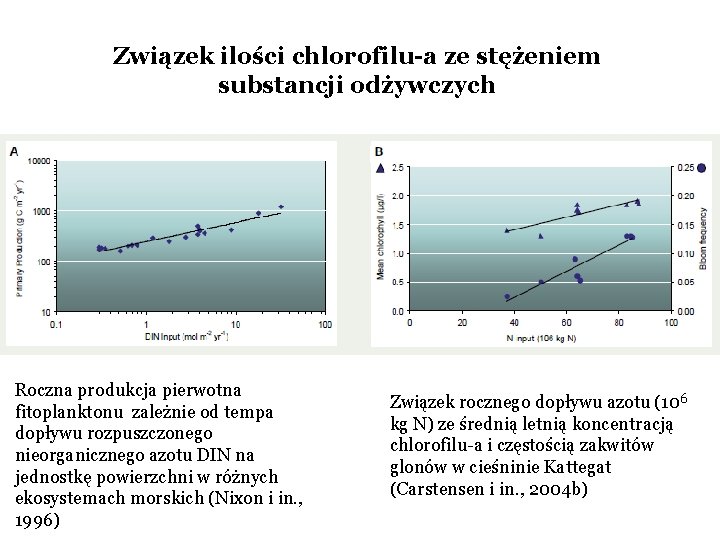 Związek ilości chlorofilu-a ze stężeniem substancji odżywczych Roczna produkcja pierwotna fitoplanktonu zależnie od tempa