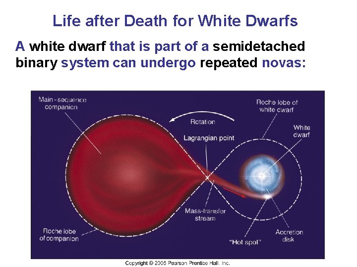 Life after Death for White Dwarfs A white dwarf that is part of a