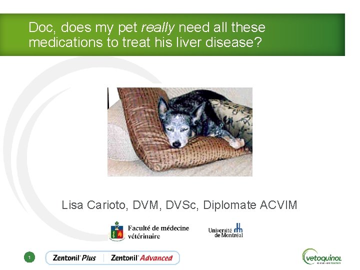 Doc, does my pet really need all these medications to treat his liver disease?