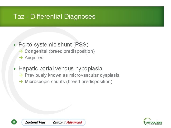 Taz - Differential Diagnoses • Porto-systemic shunt (PSS) à Congenital (breed predisposition) à Acquired