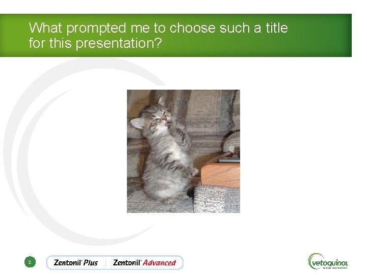 What prompted me to choose such a title for this presentation? 2 