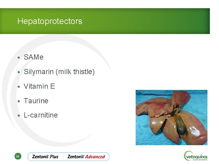 Hepatoprotectors • SAMe • Silymarin (milk thistle) • Vitamin E • Taurine • L-carnitine