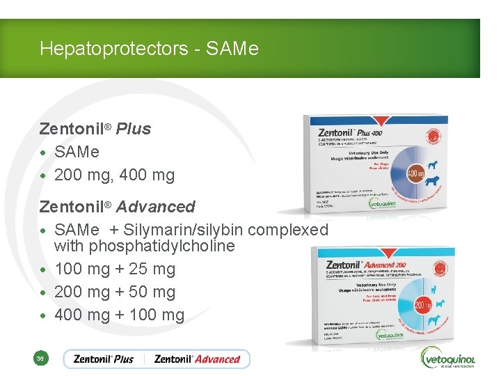 Hepatoprotectors - SAMe Zentonil® Plus • SAMe • 200 mg, 400 mg Zentonil® Advanced